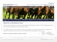 bloodstockvision.com