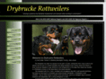 drybrucke.com