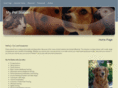 mypetstation.com