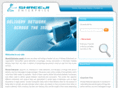 shreejienterprise.org