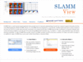 slammview.org