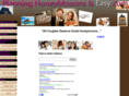 planning-honeymoons-is-easy.com