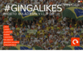 agenciaginga.com.br