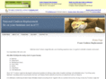 nationalcushionreplacement.com