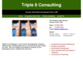 triple8consulting.com