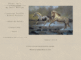 artofthewild.net