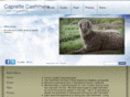 caprettecashmere.com