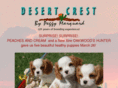 desertcrest.com