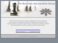 thebusinessaccelerationgroup.com