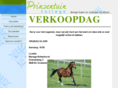 verkoopdag.com