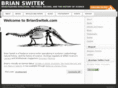 brianswitek.com