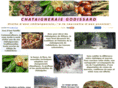 chataigne.biz