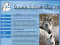 downsarabianclub.com