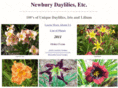 newburydaylilies.com