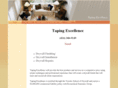 tapingexcellence.com
