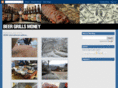 beergrillsmoney.com