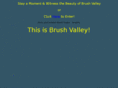 brushvalley.org