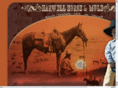 harwellsaddles.com