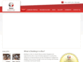 sassibuildinginabox.com