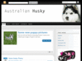 australianhusky.com