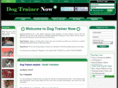 dogtrainernow.co.uk