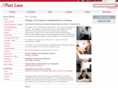 fastlane-consulting.com