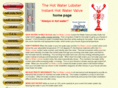 hotwaterlobster.com