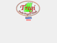 tregistudioweb.com