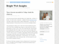 brightwebinsights.com
