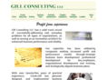 gillconsult.com