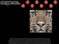 sanantoniolocalspotz.com