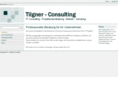 tilgner-consulting.com