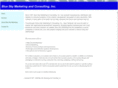 blue-sky-marketing.com