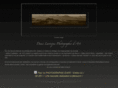 denislarocque.com
