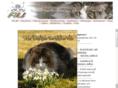norskskogkattunited.com