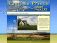 pastimeprints.com