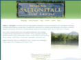 stephensaltonstall.com