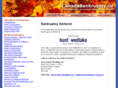 amherstbankruptcy.com