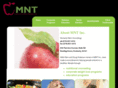 mntinc.org