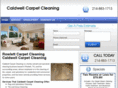 rowlettcarpetcleaning.net
