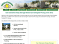 sanclementecheepstorage.com