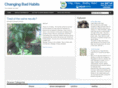 amandapowers.net