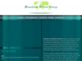 broadcastservicegroup.com
