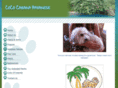 cococabanahavanese.com
