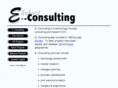 e--consulting.net