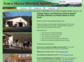 horseblanketrepair.com