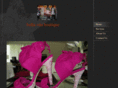 bellavitaboutiqueonline.com