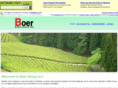 boergroupinc.com