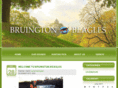 bruingtonbeagles.com