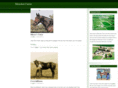 menokenfarms.com